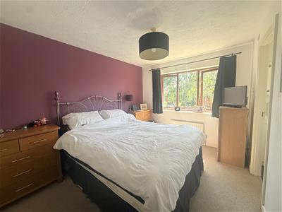 Picture 20